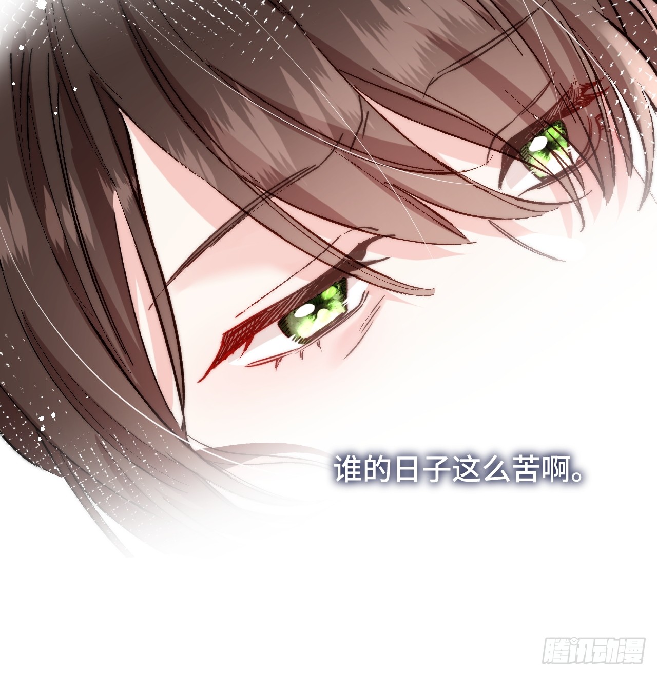 夫人今天要和离 夫人今天要和离：第01话 穿成了将军夫人！ 第15页